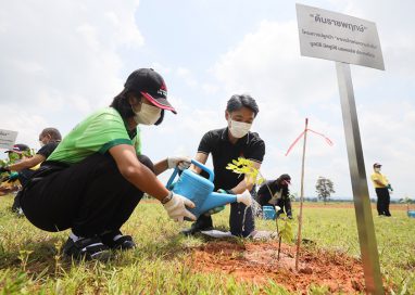 มิตซูบิชิ มอเตอร์ส ประเทศไทย มุ่งหน้าดำเนินกิจกรรมด้านสิ่งแวดล้อมอย่างต่อเนื่อง