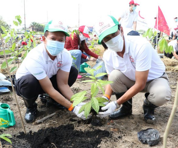 โตโยต้า ครบรอบ 60 ปี ปลูกป่า 600,000 ต้น