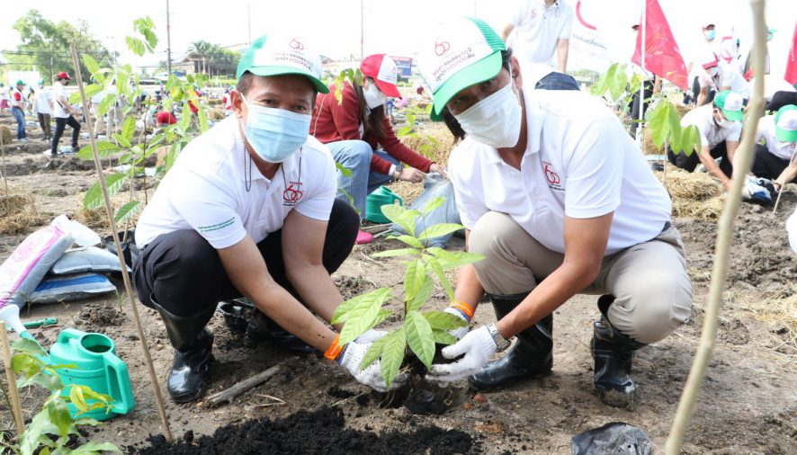 โตโยต้า ครบรอบ 60 ปี ปลูกป่า 600,000 ต้น