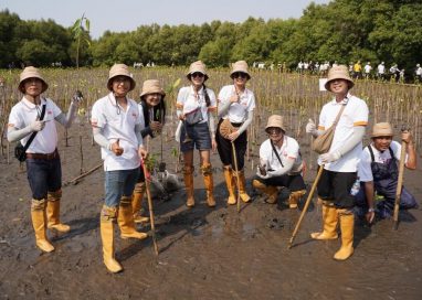 โตโยต้า ต่อยอดกิจกรรมปลูกป่าชายเลน ปีที่ 17