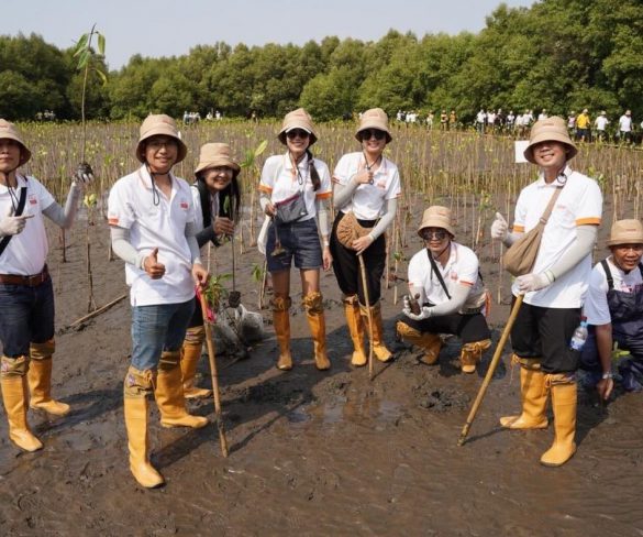 โตโยต้า ต่อยอดกิจกรรมปลูกป่าชายเลน ปีที่ 17