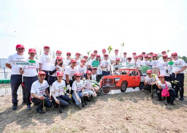 มิตซูบิชิ มอเตอร์ส ประเทศไทย ปลูกป่าชายเลน ณ จังหวัดจันทบุรี