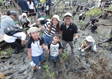 โตโยต้า ปลูกป่าชายเลน ปีที่ 19 ผนึกพลังภาคีเครือข่าย