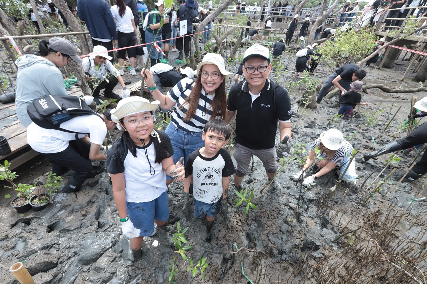 โตโยต้า ปลูกป่าชายเลน ปีที่ 19 ผนึกพลังภาคีเครือข่าย
